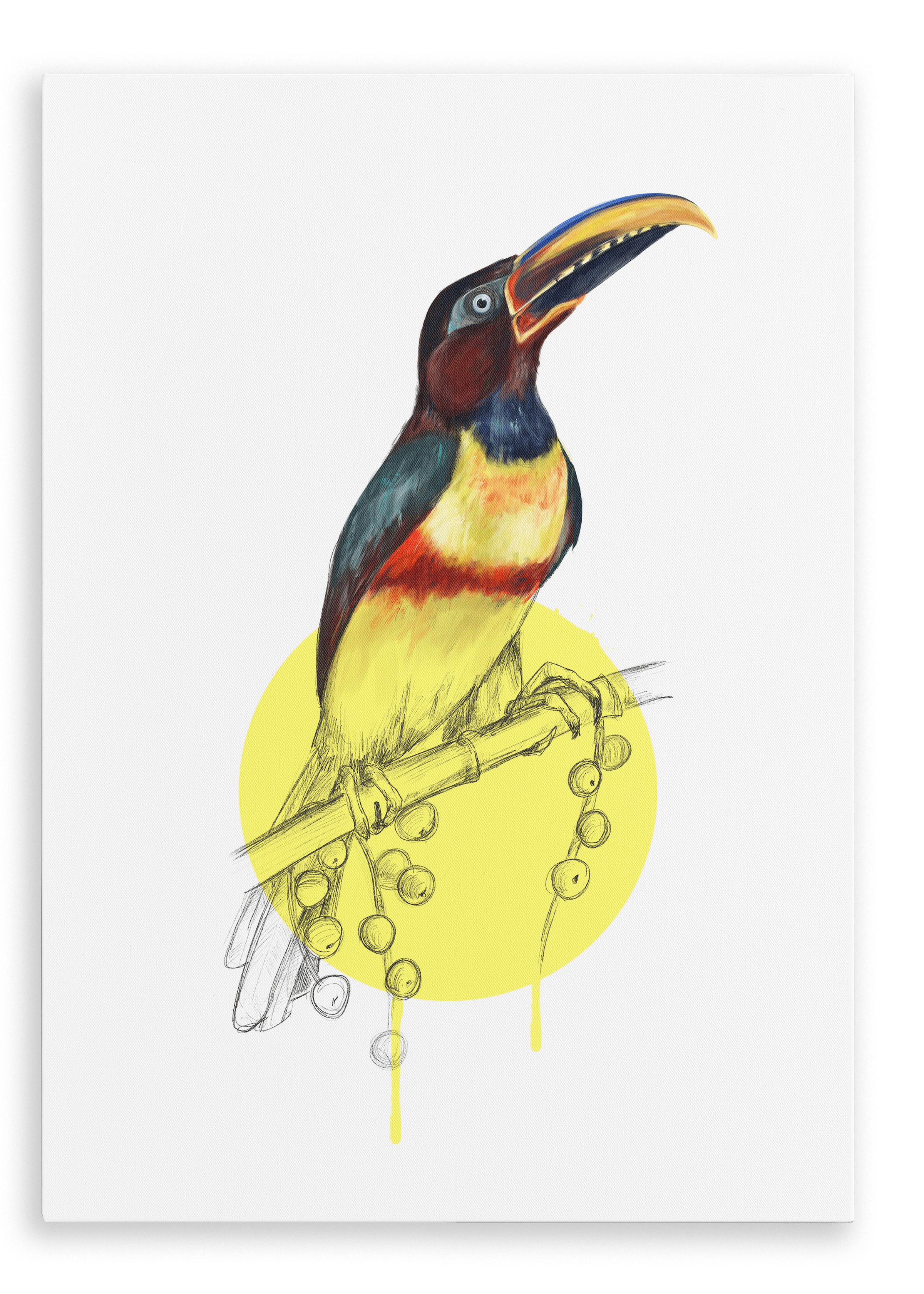 Chestnut Eared Araçari Canvas Print Drippy Birds 28"x40"(70x100 cm) Canvas Print