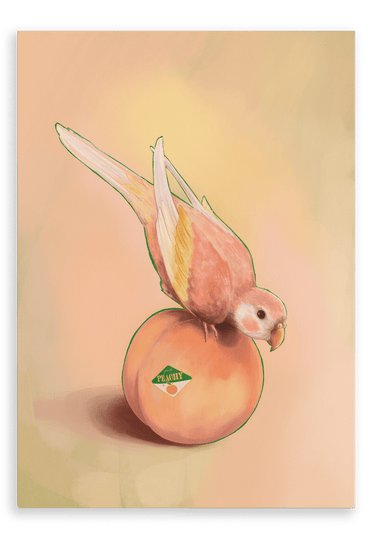 Peachy Parakeet Giclée Canvas Print Sticky Beaks 28"x40"(70x100 cm) Canvas Print