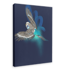 Budgerigar’s Midnight Adventure Canvas Print Night Flight 28"x40"(70x100 cm) Canvas Print