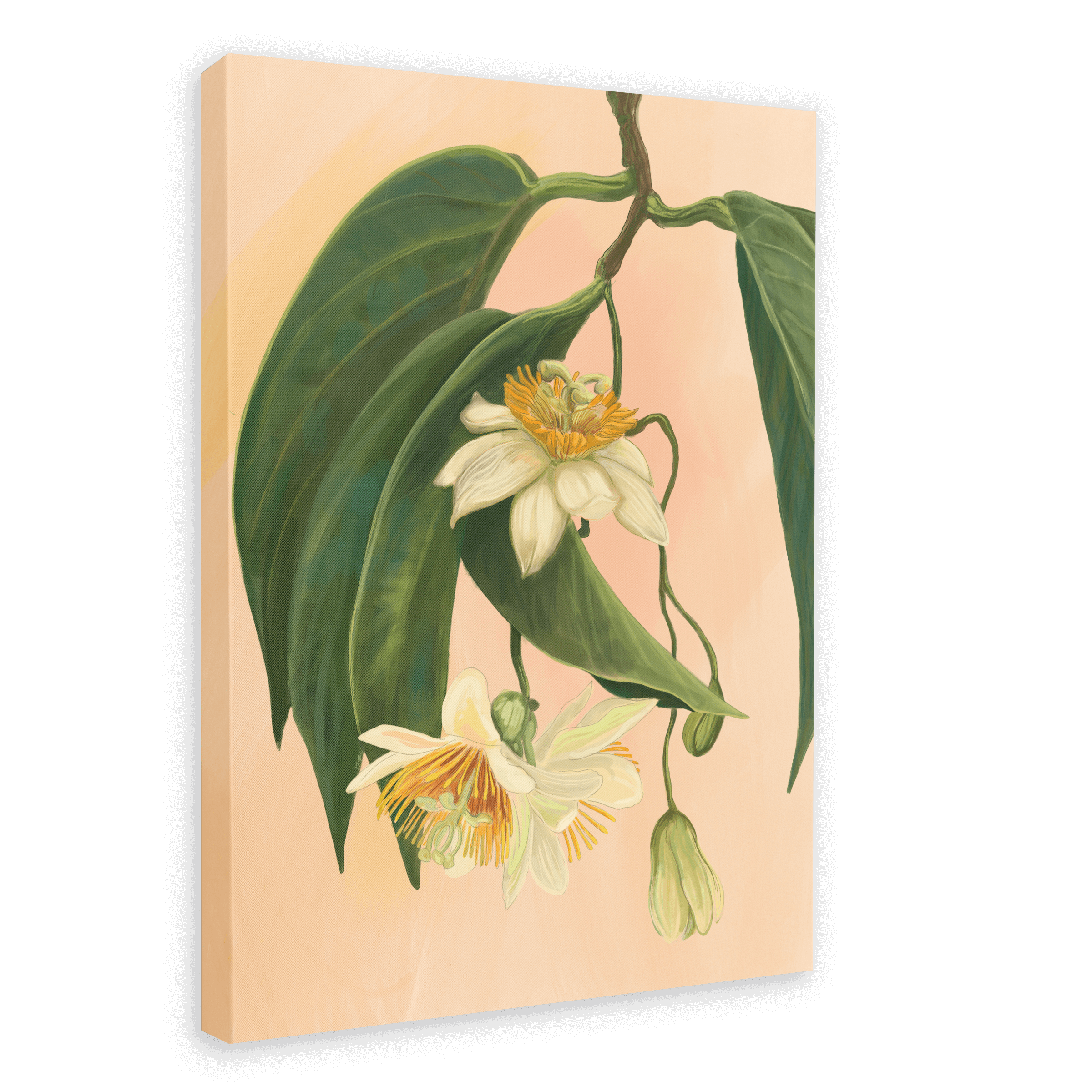 Passionflower Canvas Print Tree Flowers 28