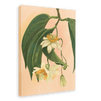 Passionflower Canvas Print Tree Flowers 28"x40"(70x100 cm) Canvas Print