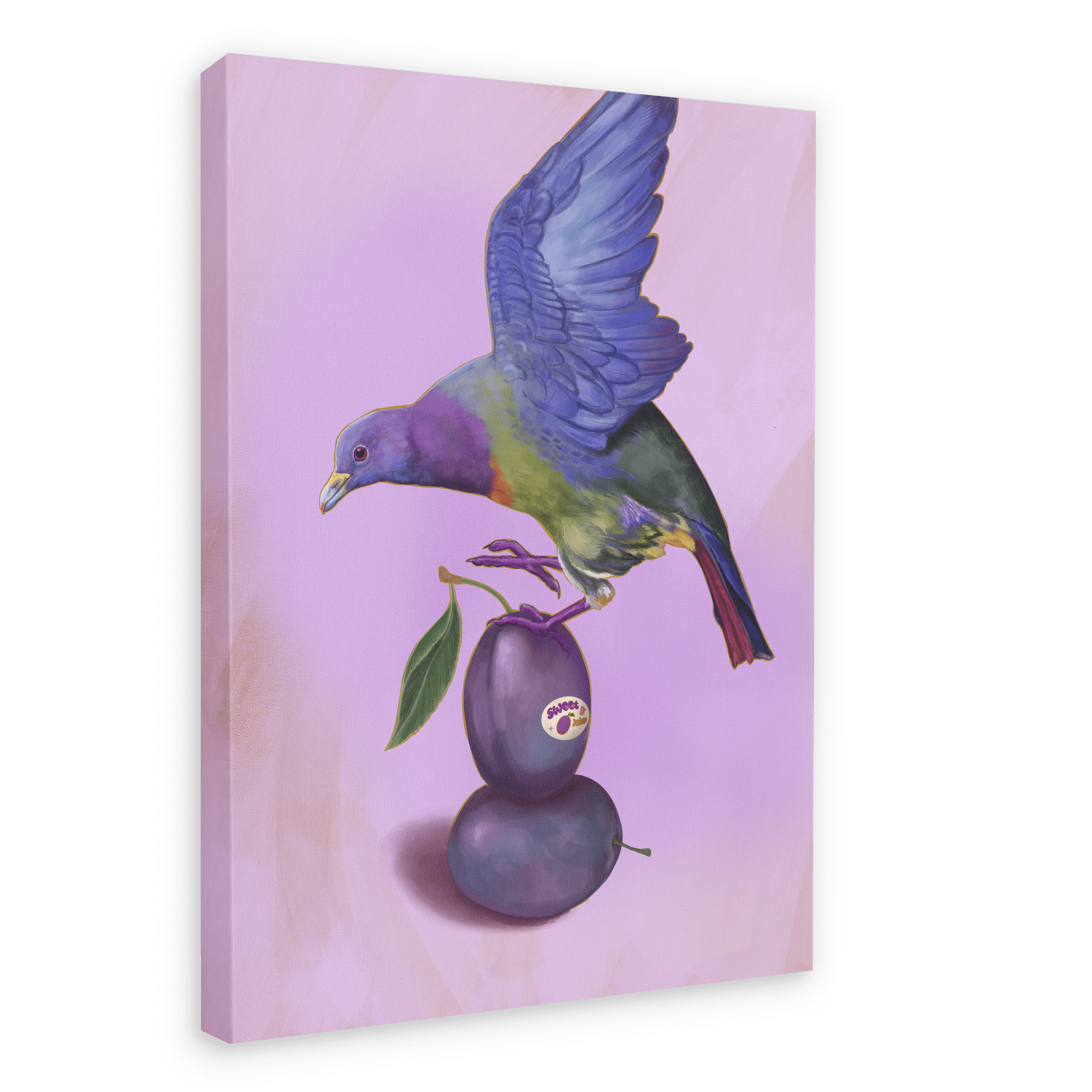 Plump Pigeon Giclée Canvas Print Sticky Beaks 28"x40"(70x100 cm) Canvas Print