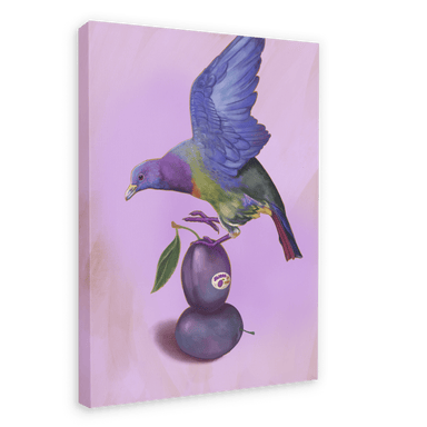 Plump Pigeon Giclée Canvas Print Sticky Beaks 28"x40"(70x100 cm) Canvas Print