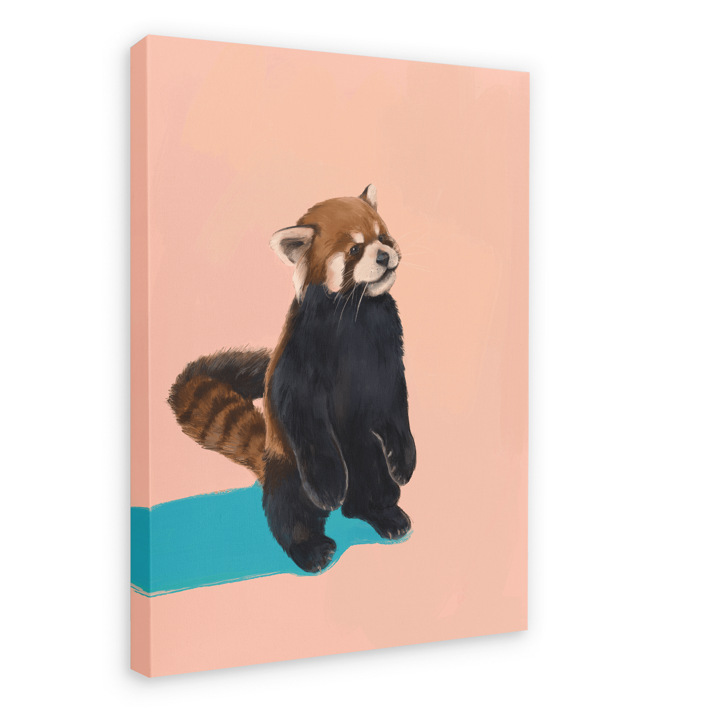 Red Panda PB Canvas Print Food Fur & Feathers 28"x40"(70x100 cm) Canvas Print