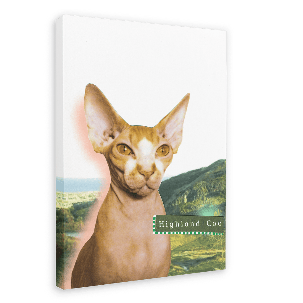 Highland Coo Matte Canvas Print Cat Cafe 28"x40"(70x100 cm) Canvas Print