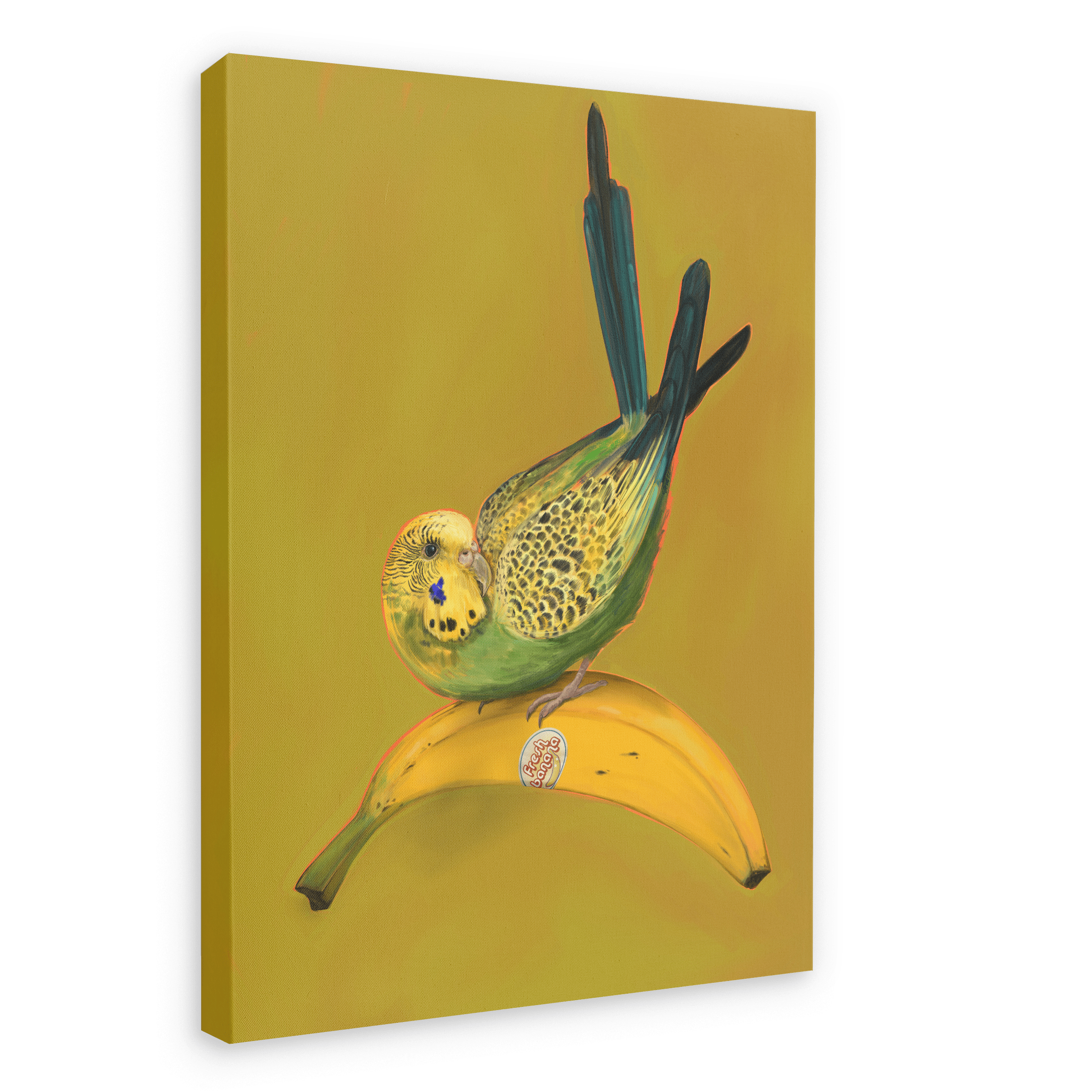 Banana Budgie Giclée Canvas Print Sticky Beaks 28"x40"(70x100 cm) Canvas Print
