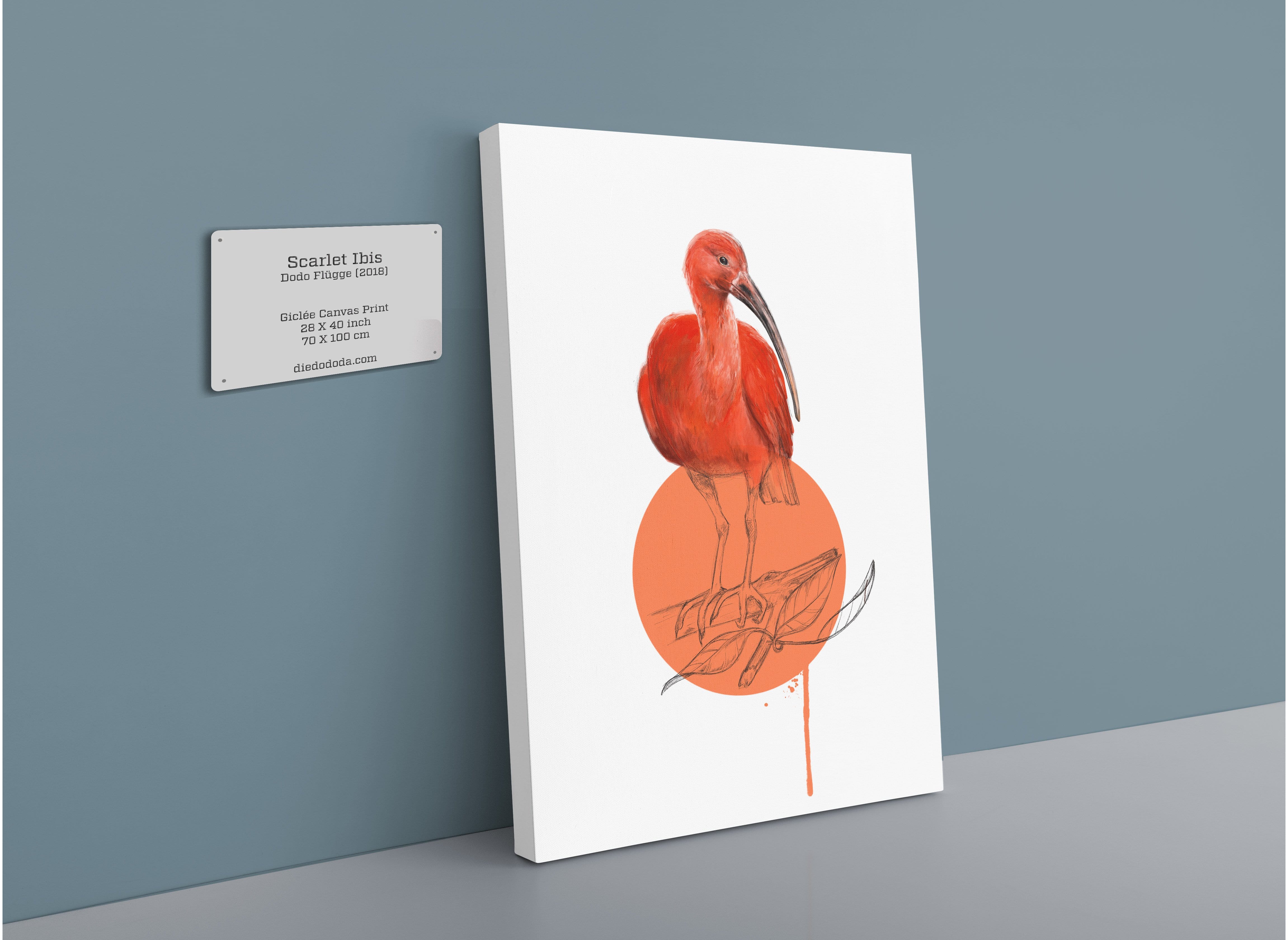 Scarlet Ibis Canvas Print Drippy Birds 28"x40"(70x100 cm) Canvas Print