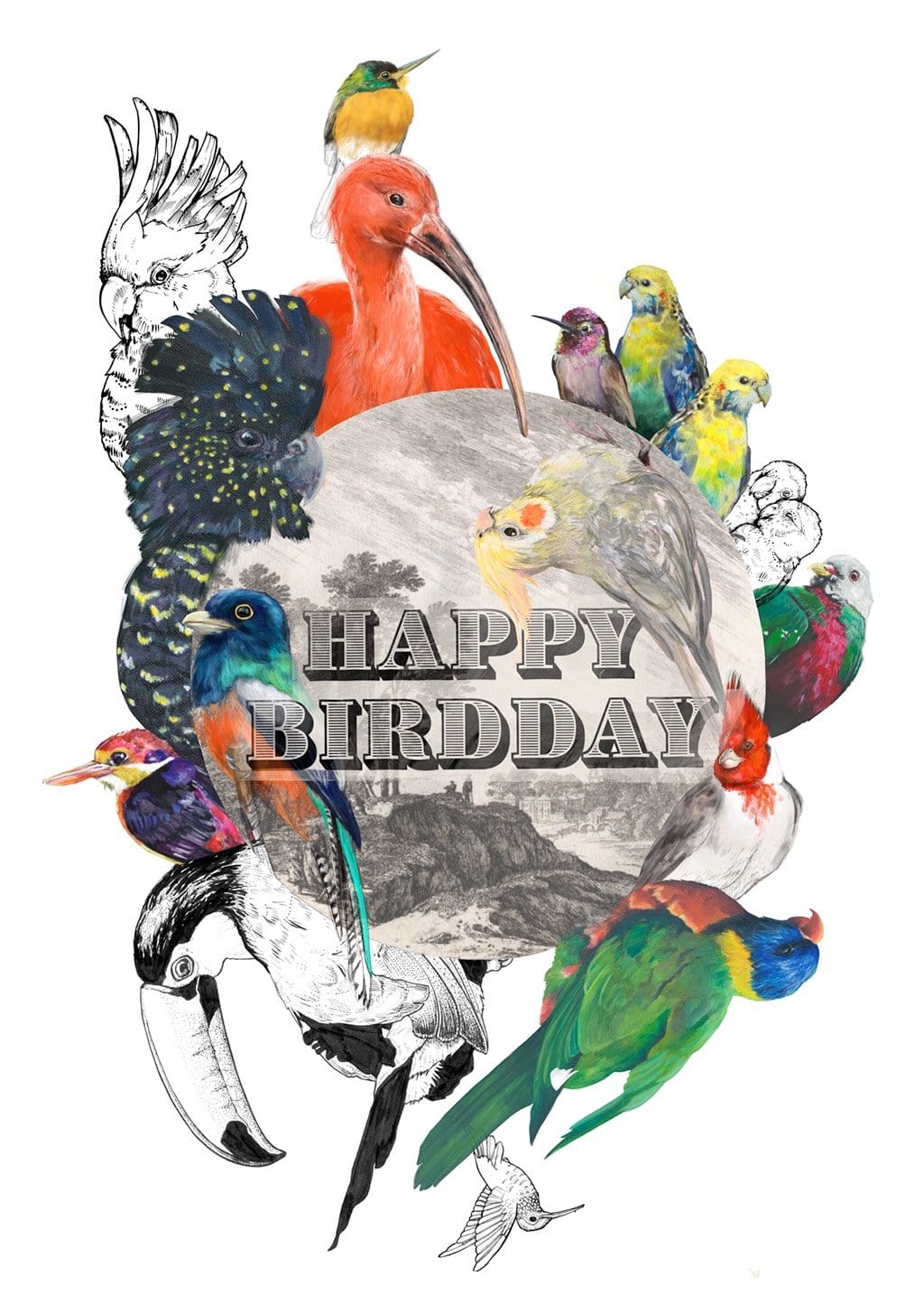 Happy Birdday Greeting Card Food, Fur & Feathers Greeting Cards Card
