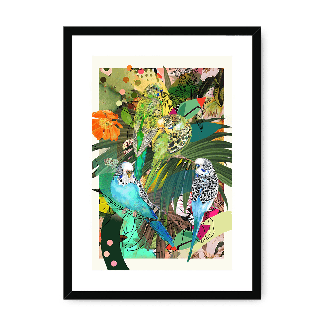 Blooming Budgerigars Framed with a Mount Print The Gathering A3 Portrait / Black Frame Mounted Print