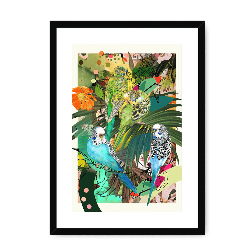 Blooming Budgerigars Framed with a Mount Print The Gathering A3 Portrait / Black Frame Mounted Print