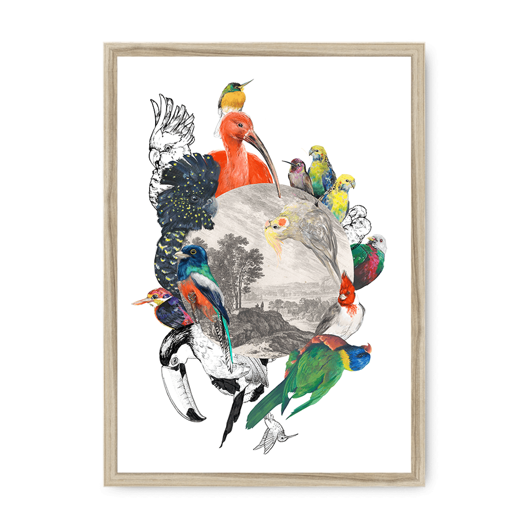 Le Beak C'est Chic Framed Print The Gathering A3 (297 X 420 mm) / Natural / No Mount (All Art) Framed Print