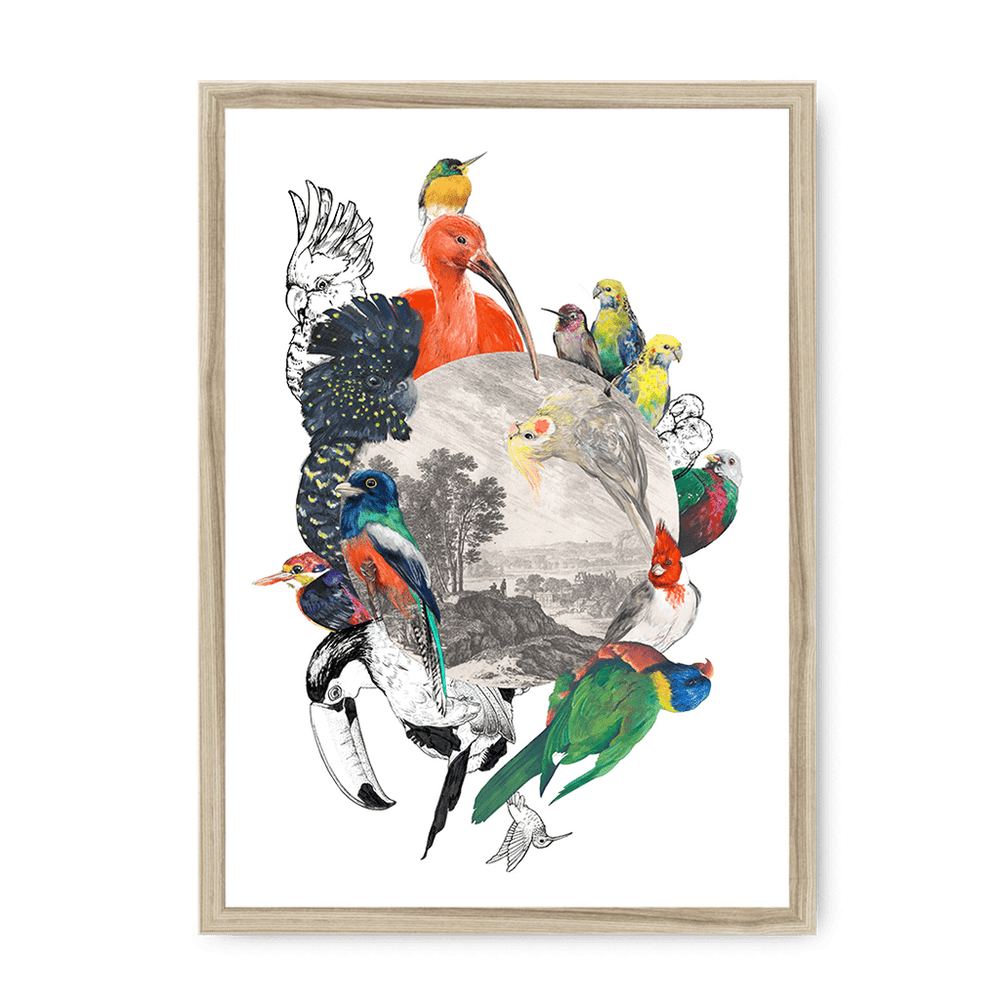 Le Beak C'est Chic Framed Print The Gathering A3 (297 X 420 mm) / Natural / No Mount (All Art) Framed Print