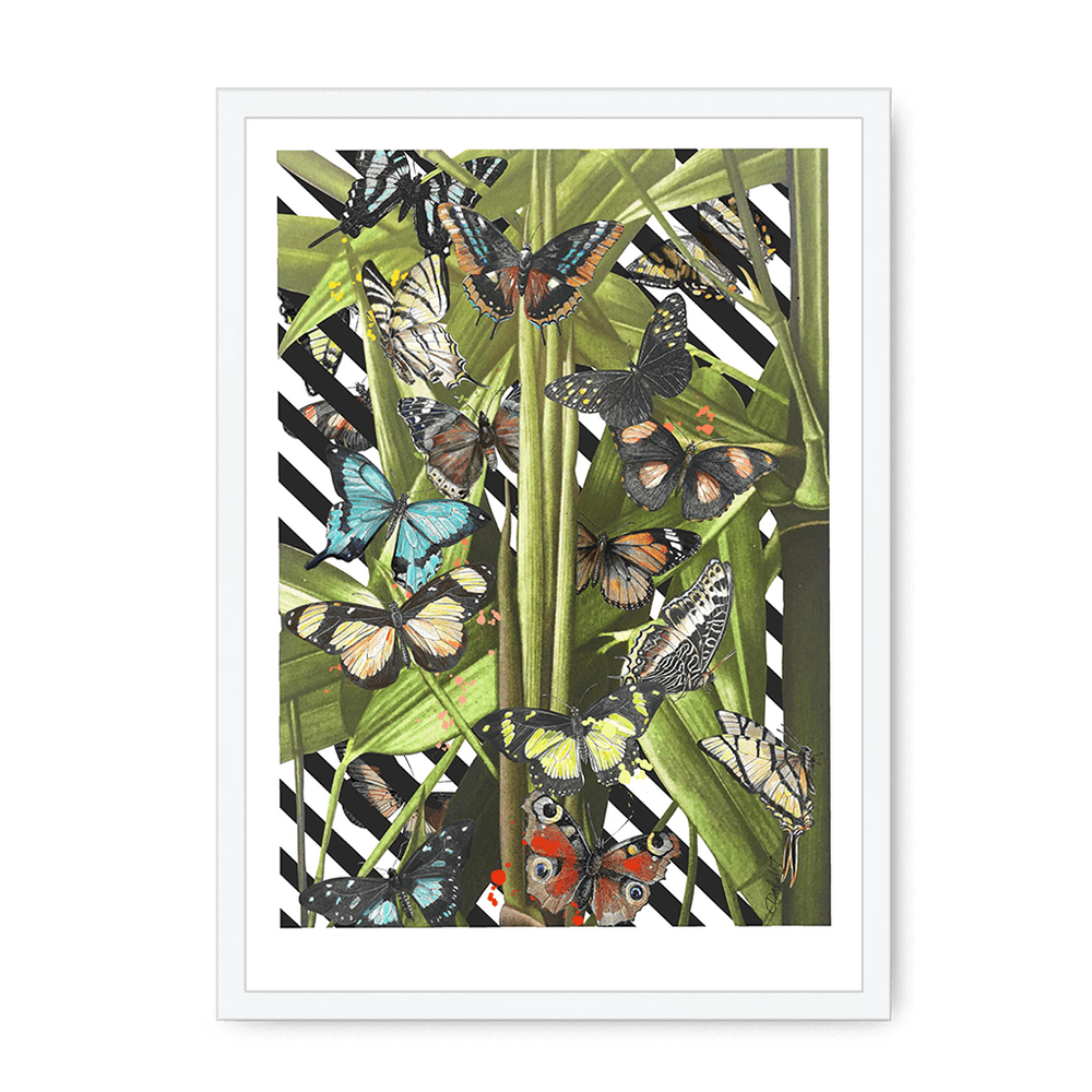 Butterfly Tropicana Framed Print The Gathering A3 (297 X 420 mm) / White Framed Print