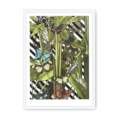 Butterfly Tropicana Framed Print The Gathering A3 (297 X 420 mm) / White Framed Print