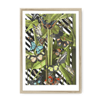 Butterfly Tropicana Framed Print The Gathering A3 (297 X 420 mm) / Natural Framed Print
