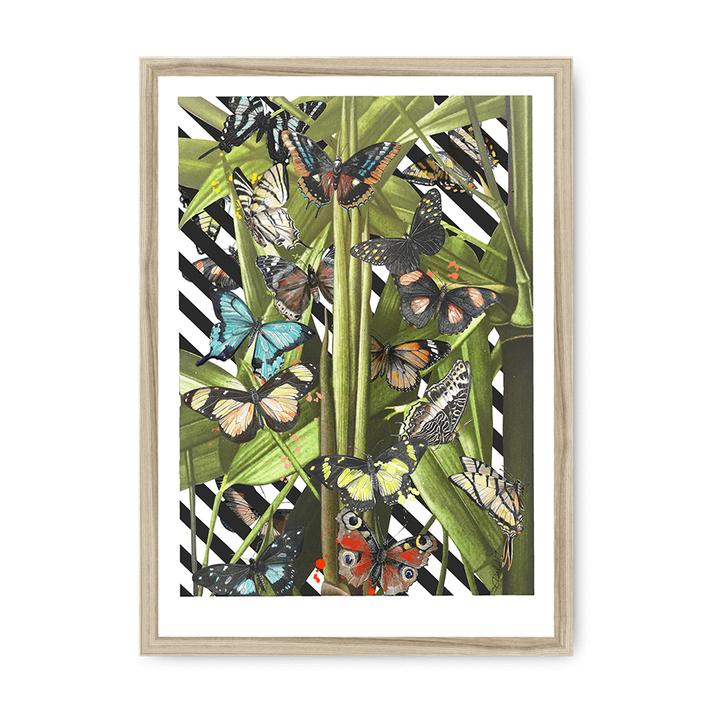 Butterfly Tropicana Framed Print The Gathering A3 (297 X 420 mm) / Natural Framed Print