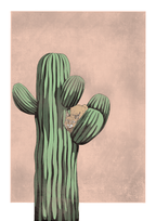 Bobcatctus Pink Matte Art Print Catctus Art Print