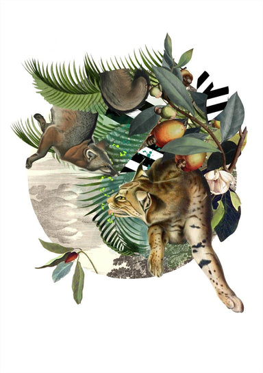 Fox & Lynxs' Tropical Escape Matte Art Print The Audubon Remixes Art Print