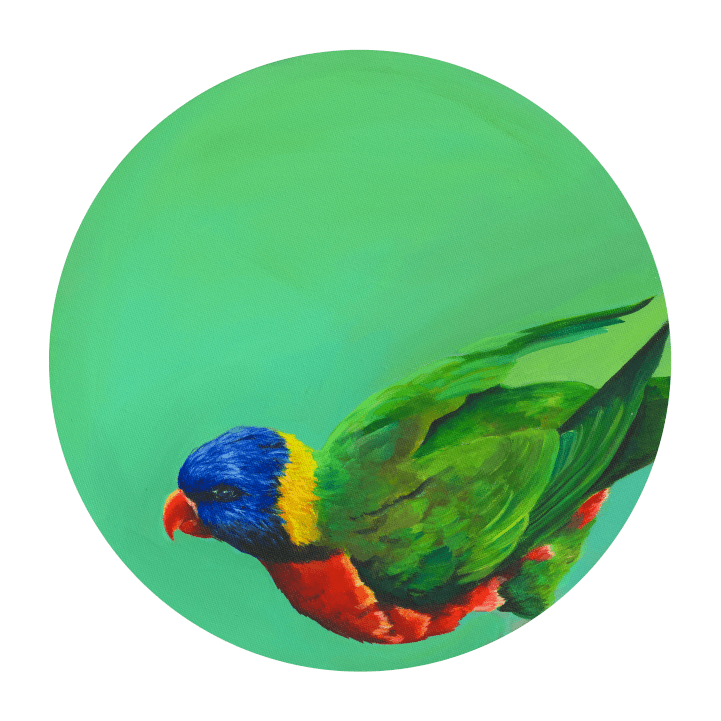Rainbow Lorikeet Giclée Art Print Exotic Bird Paintings 8" Square (20.32 X 20.32 cm) Square GIclee Art Print
