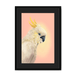 CockaTwos White Framed Print CockaTwos A3 (297 X 420 mm) / Black / Black Mount Framed Print