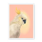 CockaTwos White Framed Print CockaTwos A3 (297 X 420 mm) / White / No Mount (All Art) Framed Print