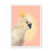 CockaTwos White Framed Print CockaTwos A3 (297 X 420 mm) / White / No Mount (All Art) Framed Print