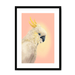 CockaTwos White Framed Print CockaTwos A3 (297 X 420 mm) / Black / White Mount Framed Print