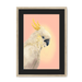 CockaTwos White Framed Print CockaTwos A3 (297 X 420 mm) / Natural / Black Mount Framed Print