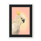 CockaTwos White Framed Print CockaTwos A3 (297 X 420 mm) / White / Black Mount Framed Print