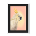 CockaTwos White Framed Print CockaTwos A3 (297 X 420 mm) / White / Black Mount Framed Print