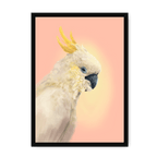 CockaTwos White Framed Print CockaTwos A3 (297 X 420 mm) / Black / No Mount (All Art) Framed Print