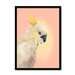 CockaTwos White Framed Print CockaTwos A3 (297 X 420 mm) / Black / No Mount (All Art) Framed Print