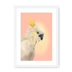 CockaTwos White Framed Print CockaTwos A3 (297 X 420 mm) / White / White Mount Framed Print