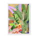 Chromatose Botanica - Banani-Banana Framed Print Chromatose A3 (297 X 420 mm) / White / No Mount (All Art) Framed Print