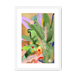 Chromatose Botanica - Banani-Banana Framed Print Chromatose A3 (297 X 420 mm) / White / White Mount Framed Print