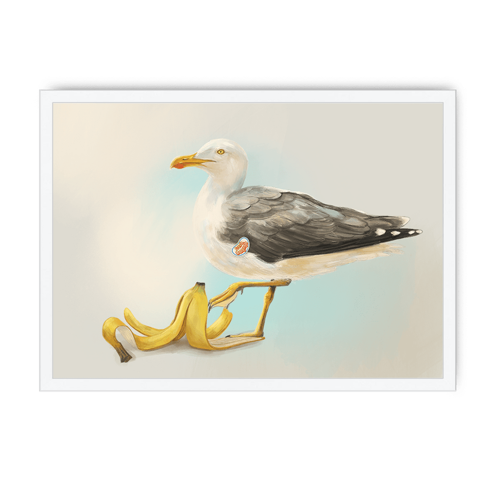 Banana Gull Framed Print Sticky Beaks A3 (297 X 420 mm) / White / No Mount (All Art) Framed Print