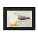 Banana Gull Framed Print Sticky Beaks A3 (297 X 420 mm) / Black / Black Mount Framed Print