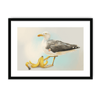 Banana Gull Framed Print Sticky Beaks A3 (297 X 420 mm) / Black / White Mount Framed Print