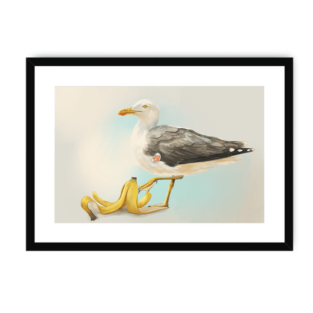 Banana Gull Framed Print Sticky Beaks A3 (297 X 420 mm) / Black / White Mount Framed Print