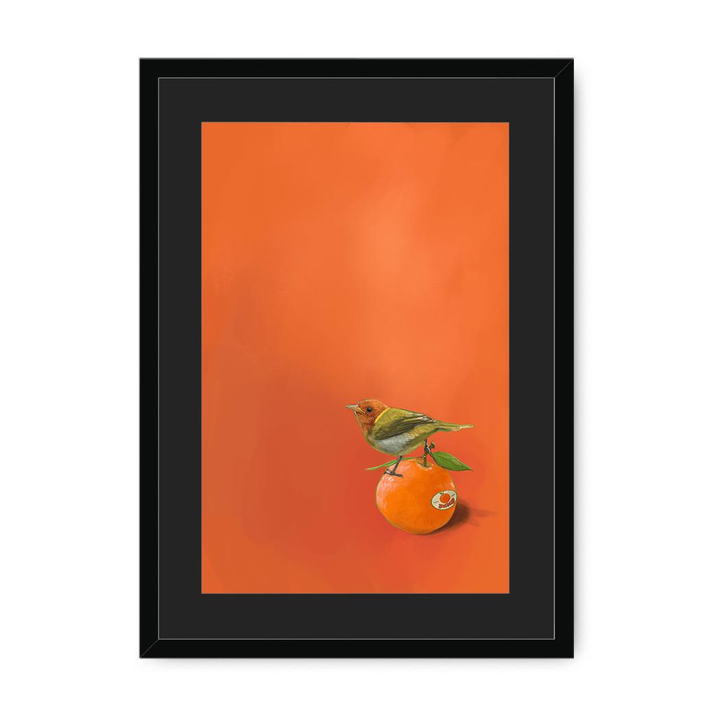 Tangerine Tanager Framed Print Sticky Beaks A3 (297 X 420 mm) / Black / Black Mount Framed Print