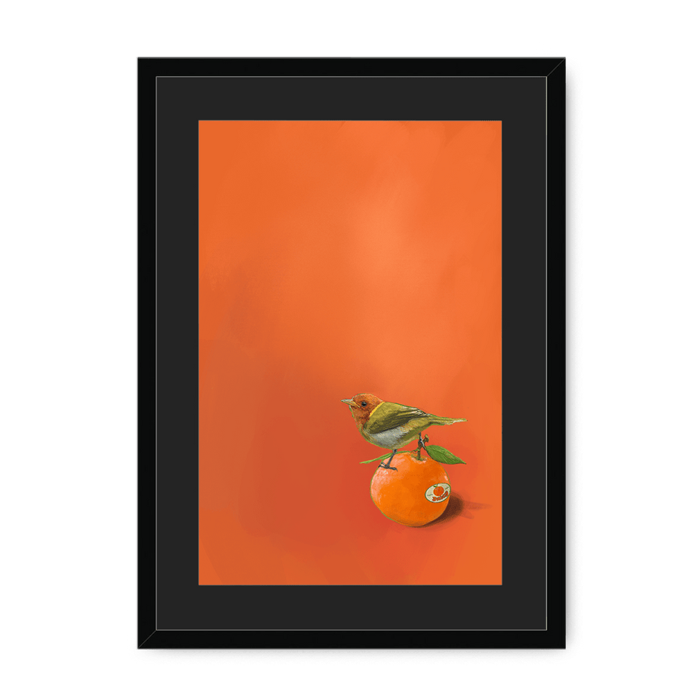 Tangerine Tanager Framed Print Sticky Beaks A3 (297 X 420 mm) / Black / Black Mount Framed Print