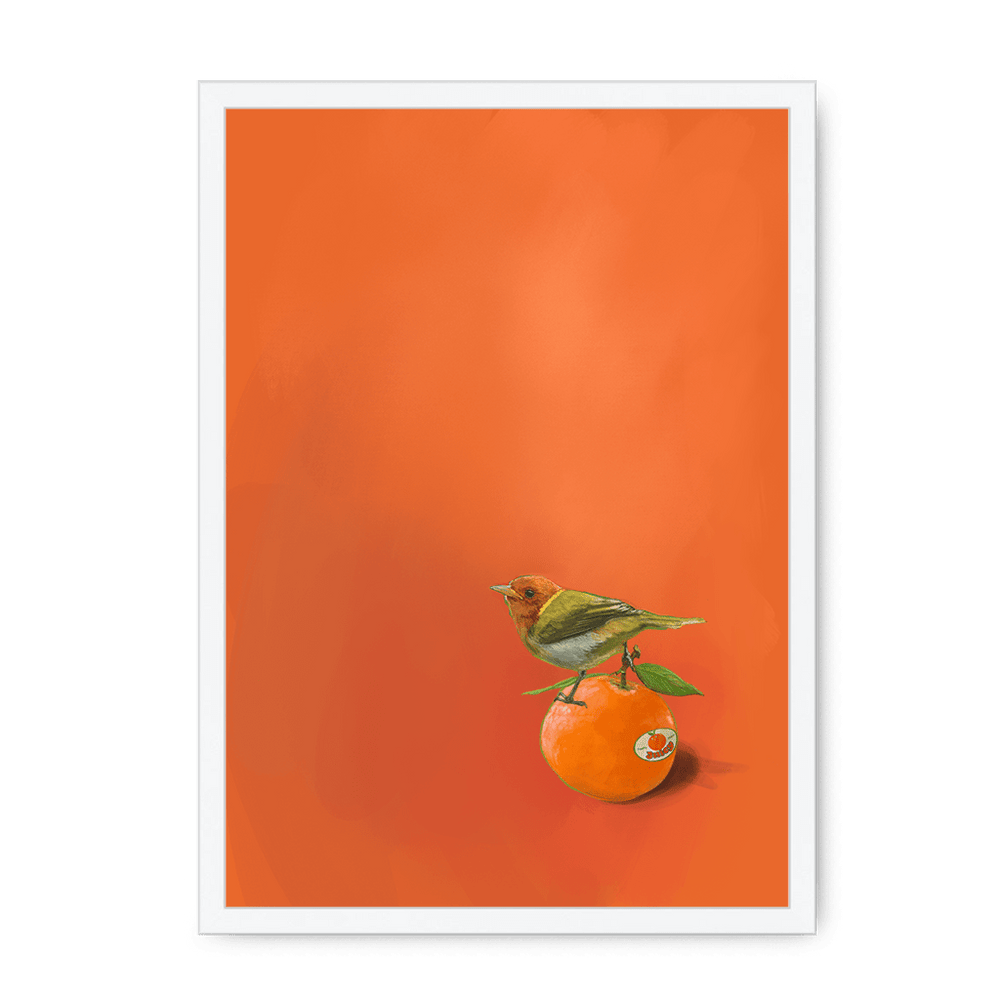 Tangerine Tanager Framed Print Sticky Beaks A3 (297 X 420 mm) / White / No Mount (All Art) Framed Print