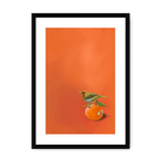 Tangerine Tanager Framed Print Sticky Beaks A3 (297 X 420 mm) / Black / White Mount Framed Print
