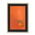 Tangerine Tanager Framed Print Sticky Beaks A3 (297 X 420 mm) / Natural / Black Mount Framed Print