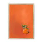 Tangerine Tanager Framed Print Sticky Beaks A3 (297 X 420 mm) / Natural / No Mount (All Art) Framed Print