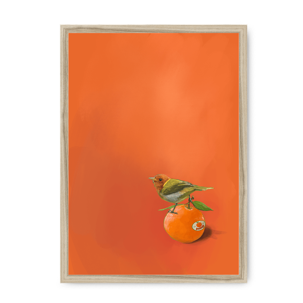 Tangerine Tanager Framed Print Sticky Beaks A3 (297 X 420 mm) / Natural / No Mount (All Art) Framed Print