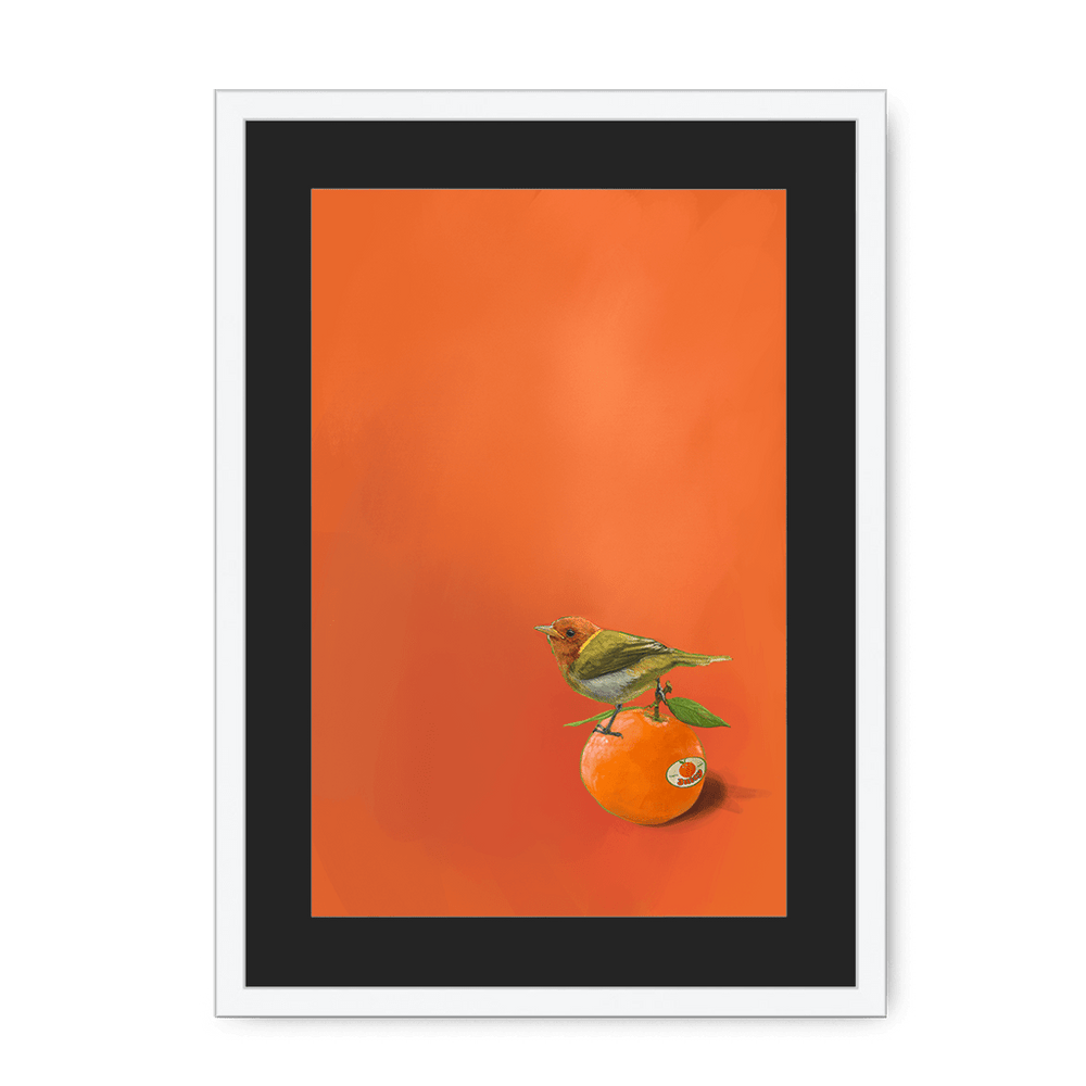 Tangerine Tanager Framed Print Sticky Beaks A3 (297 X 420 mm) / White / Black Mount Framed Print