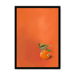 Tangerine Tanager Framed Print Sticky Beaks A3 (297 X 420 mm) / Black / No Mount (All Art) Framed Print
