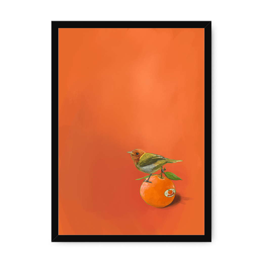 Tangerine Tanager Framed Print Sticky Beaks A3 (297 X 420 mm) / Black / No Mount (All Art) Framed Print