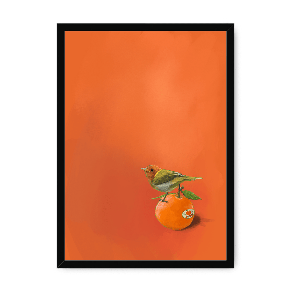 Tangerine Tanager Framed Print Sticky Beaks A3 (297 X 420 mm) / Black / No Mount (All Art) Framed Print